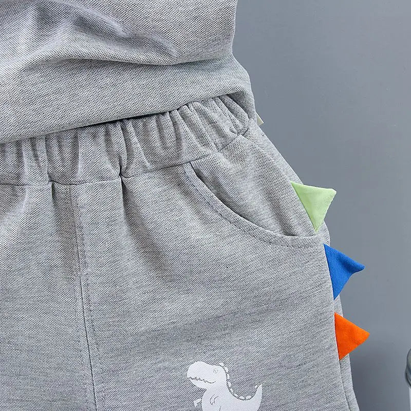 Summer Outfits for Baby Boys 9 to 12 Months Dinosaur