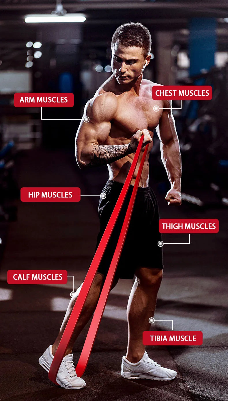 Unlock Your Fitness Potential With Resistance Bands