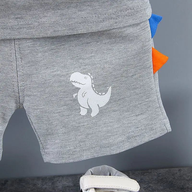 Summer Outfits for Baby Boys 9 to 12 Months Dinosaur